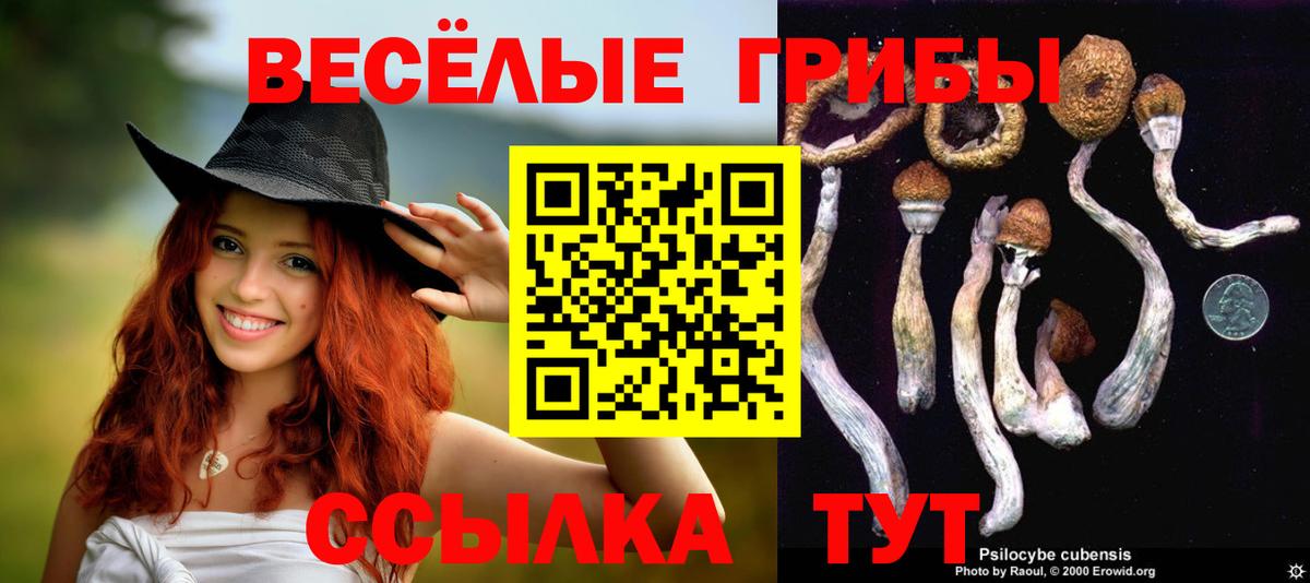 Каспийск  Галлюциногенные грибы мицелий  Вход с VPN 